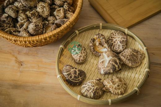 神农架椴木香菇  500克 商品图2