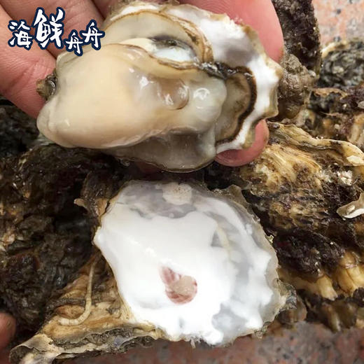 【野生】超低温 海蛎肉 200g/盒 商品图1