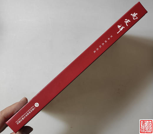 《马定祥百年诞辰纪念集》精装全一册 商品图10