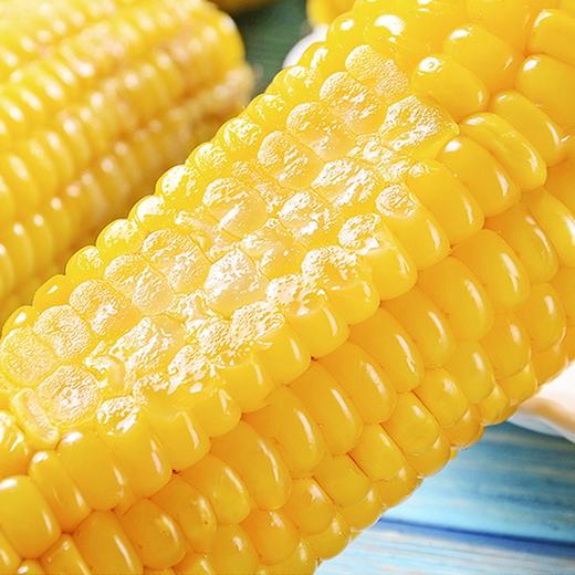 【东北黄糯玉米】5根/份，急速冷冻锁鲜 商品图2