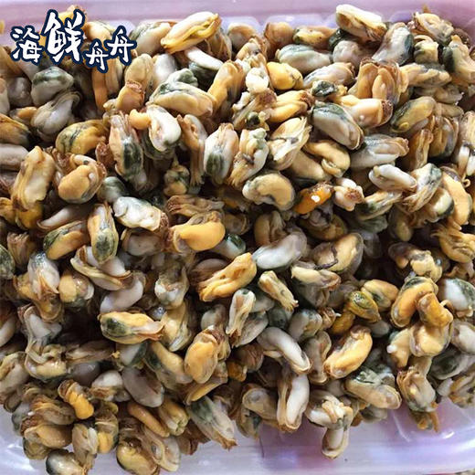 【野生】超低温 海瓜子肉 250g/盒 买2送1 商品图2