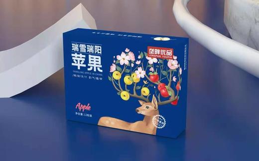 垄畔优品瑞阳瑞雪苹果 商品图2