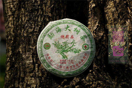 八年陈期 糯香醇厚  福海元龙·勐海大树茶（2012） 商品图14