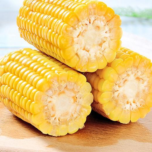 【东北黄糯玉米】5根/份，急速冷冻锁鲜 商品图3