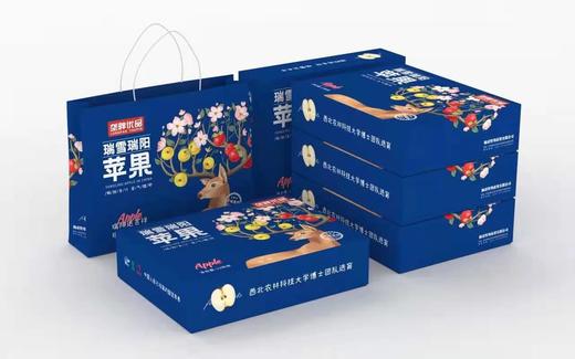 垄畔优品瑞阳瑞雪苹果 商品图3