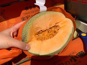 基地直采-金宏晓蜜瓜8元/斤