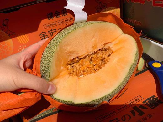 基地直采-金宏晓蜜瓜8元/斤