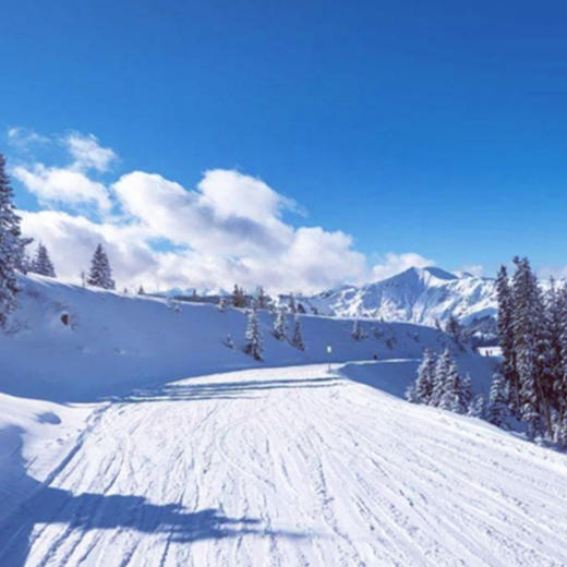 长白山万达喜来登酒店含早滑雪票雪具缆车温泉票接送 商品图3