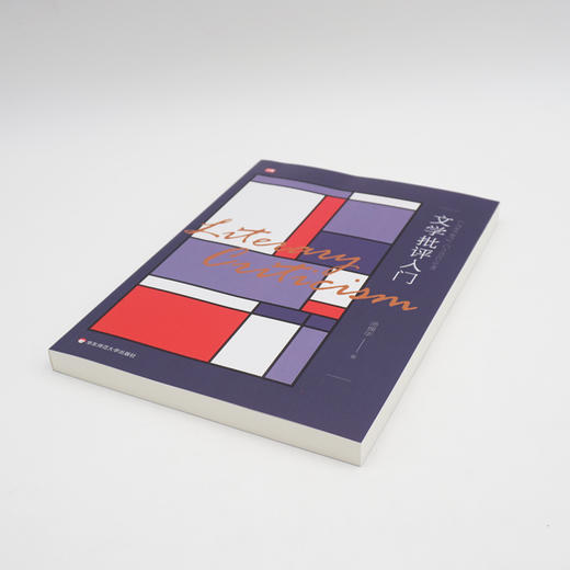 文学批评入门 汤拥华 高等院校中文系教材  商品图1