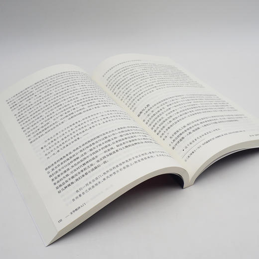 文学批评入门 汤拥华 高等院校中文系教材  商品图2