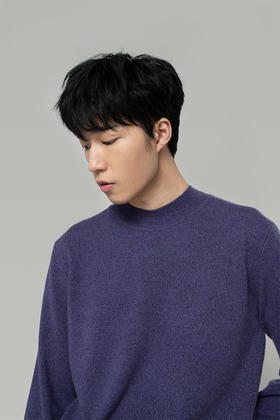 2020经典款男士纯山羊绒半高领套头衫