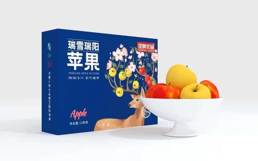 垄畔优品瑞阳瑞雪苹果 商品图5
