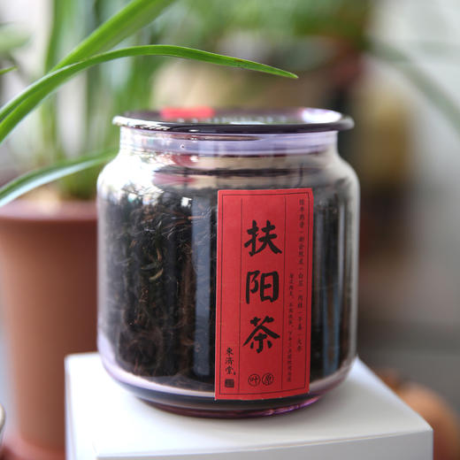 东济堂扶阳茶普洱陈皮生姜调味茶