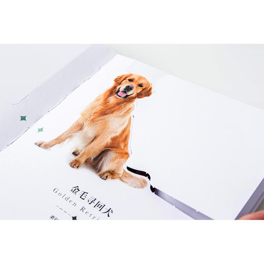 纸上景观:狗狗  商品图3