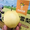 🎉🎉🎉【超甜一款，新上市品种】新品上市金蜜梨！！！超甜的，蜂蜜梨口感，脆，水分也多，秋天必备口感超赞 商品缩略图4