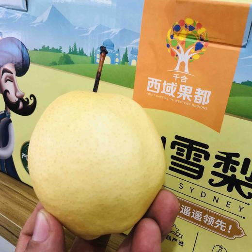 🎉🎉🎉【超甜一款，新上市品种】新品上市金蜜梨！！！超甜的，蜂蜜梨口感，脆，水分也多，秋天必备口感超赞 商品图4