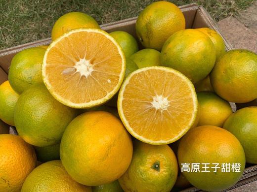 基地直采-甜橙9元/斤 商品图0