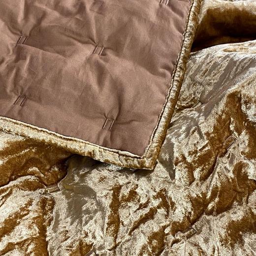 京彩 精品丝绒盖被 商品图3