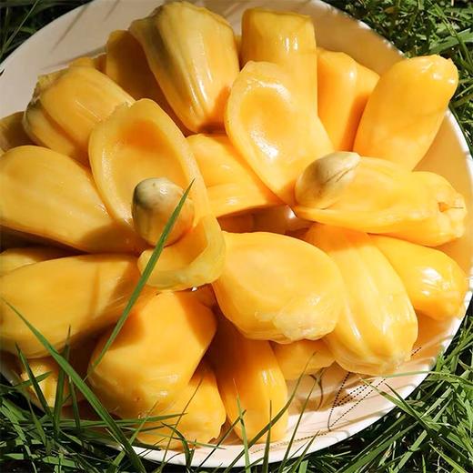 【海南菠萝蜜】约300g/盒，鲜美脆双，口味香甜 商品图4