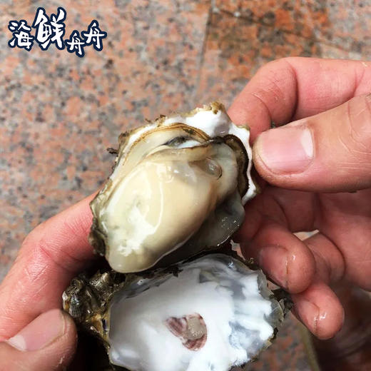 【野生】超低温 海蛎肉 200g/盒 商品图2