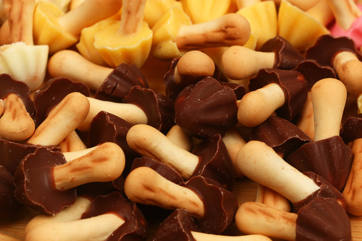 二月新货巧蘑菇巧克力饼干48罐箱100克罐保质期6个月