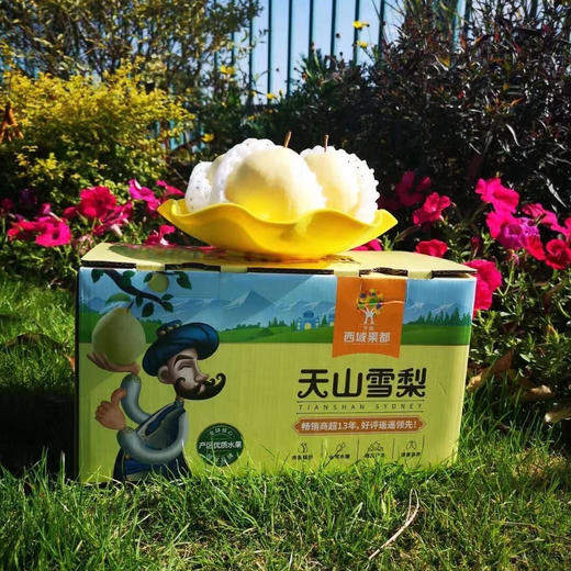 🎉🎉🎉【超甜一款，新上市品种】新品上市金蜜梨！！！超甜的，蜂蜜梨口感，脆，水分也多，秋天必备口感超赞 商品图5