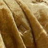 京彩 精品丝绒盖被 商品缩略图2