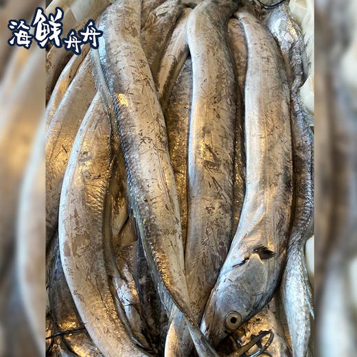 【野生】冰鲜（热气）油带鱼 商品图2