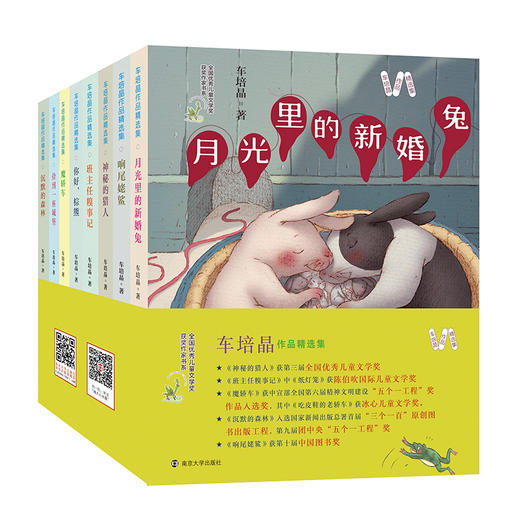 车培晶作品精选集 商品图0