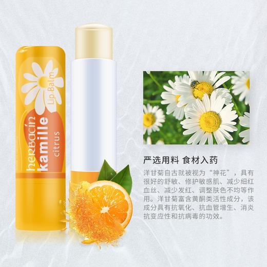 德国小甘菊柠檬修护唇膏 商品图1