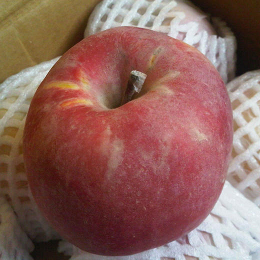 超甜阿克苏冰糖心苹果🍎脆甜多汁，超甜冰糖心，只有有机阿克苏才有这个口感，甜脆，带着新疆的尘土而来 它纯天然弱碱性沙质土壤培育，全年接受着天然雪山水的灌溉，造就了独特的口感 商品图2