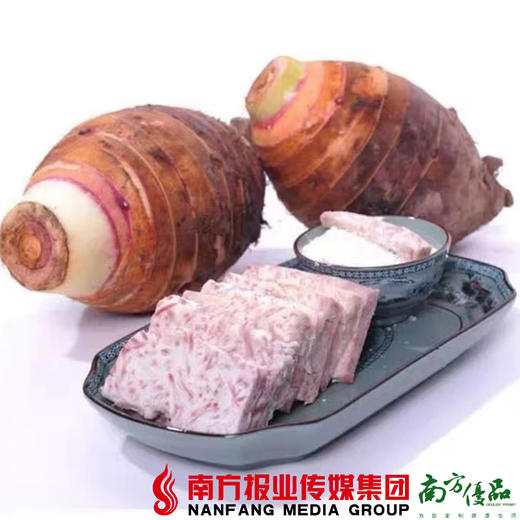 【珠三角包邮】炭步文岗芋头  3.5—4.5斤/个  （次日到货） 商品图0
