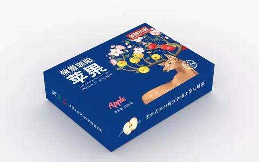 垄畔优品瑞阳瑞雪苹果 商品图4