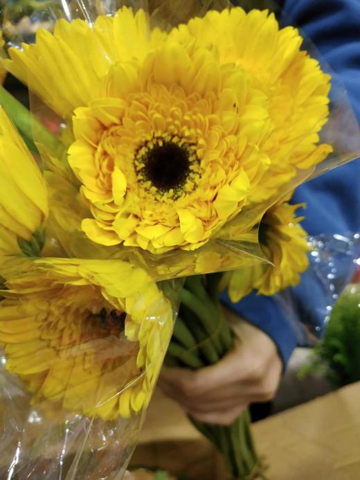 大花扶郎挑色各色都有点击进入挑色 商品图1