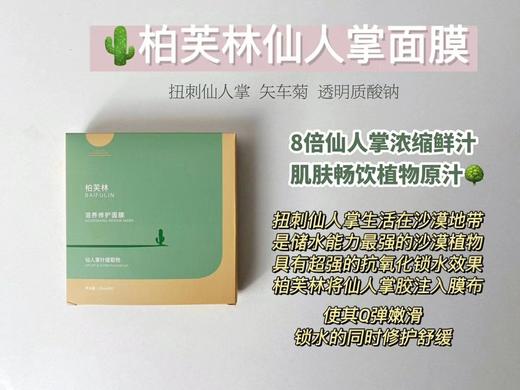 柏芙林仙人掌面膜10片装 商品图0