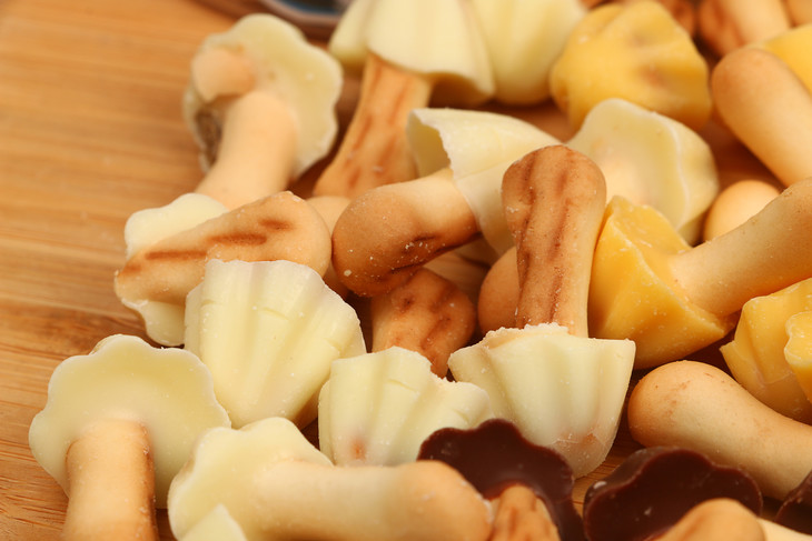 二月新货巧蘑菇巧克力饼干48罐箱100克罐保质期6个月