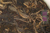 八年陈期 糯香醇厚  福海元龙·勐海大树茶（2012） 商品缩略图3