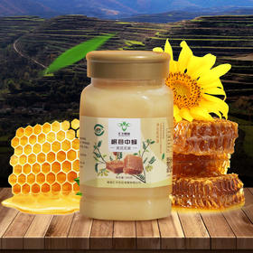 HF-岷县中药黄芪蜂蜜【大宗供货请联系客服】