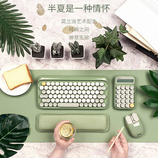 洛斐 EH119 半夏陪伴套装 商品图4