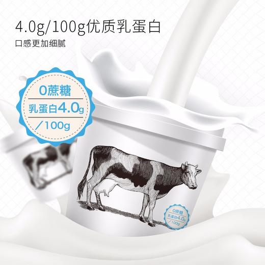 保质期至11,17，塞上一头牛0蔗糖乳酪110g/杯，保质期21天 商品图1