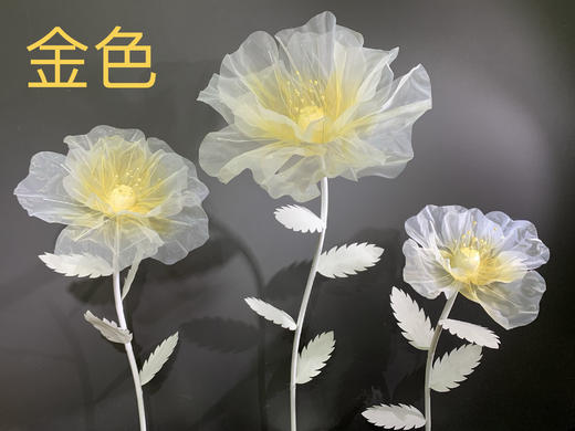 梦幻花【运费自理】 商品图1