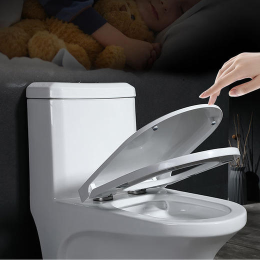 0322 8D大管道马桶【非申泉品牌】 商品图3