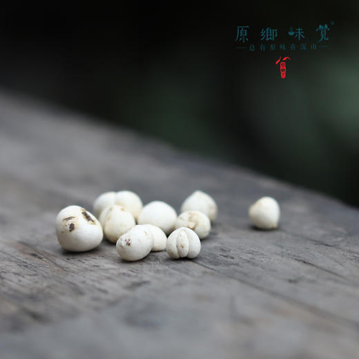 野生川贝母（成都仓库-顺丰快递）| 18g，38g，来自四川阿坝，生产者：松潘藏民【合作生产，公平贸易】 商品图11