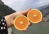 2025年湖北秭归九月红脐橙 多规格 全国包邮 商品缩略图2