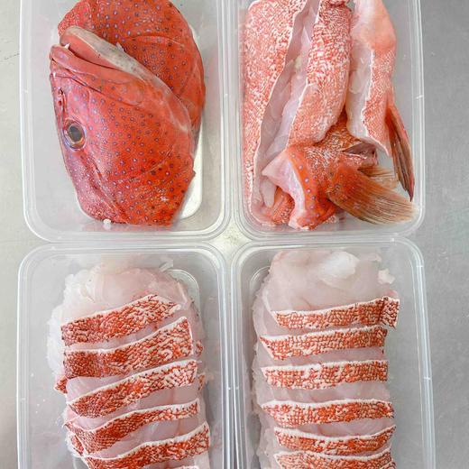 海钓红东星斑顺丰到付 商品图9