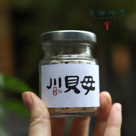 野生川贝母（成都仓库-顺丰快递）| 18g，38g，来自四川阿坝，生产者：松潘藏民【合作生产，公平贸易】 商品图3