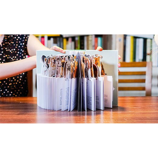 纸上景观:狗狗  商品图1