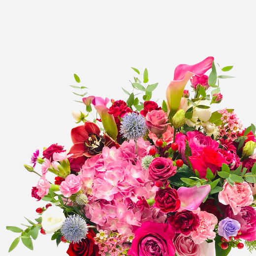 抱抱桶——媚儿 商品图1