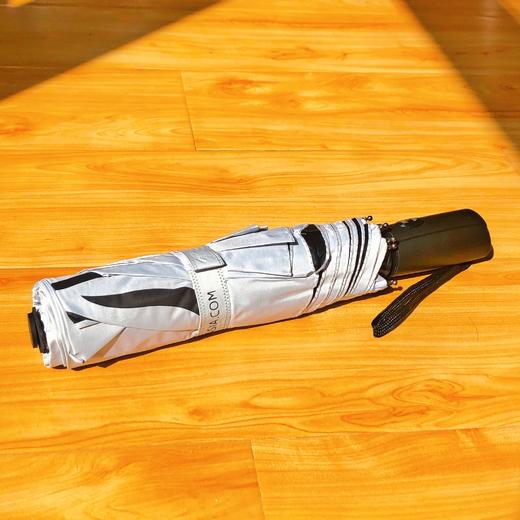 旅游必备|瑞士旅游局定制护照包/比利时旅游局定制雨伞/荷兰旅游局双肩包 商品图2