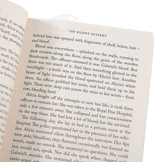 【中商原版】沉默的病人 英文原版 The Silent Patient 纽约时报畅销书 豆瓣高分 惊悚小说 Alex Michaelides 商品图3